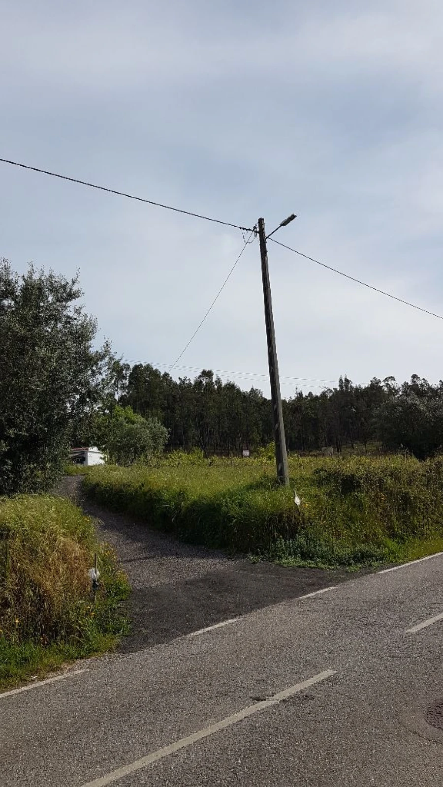 Terreno para Venda em Água Tavessa Foto 3
