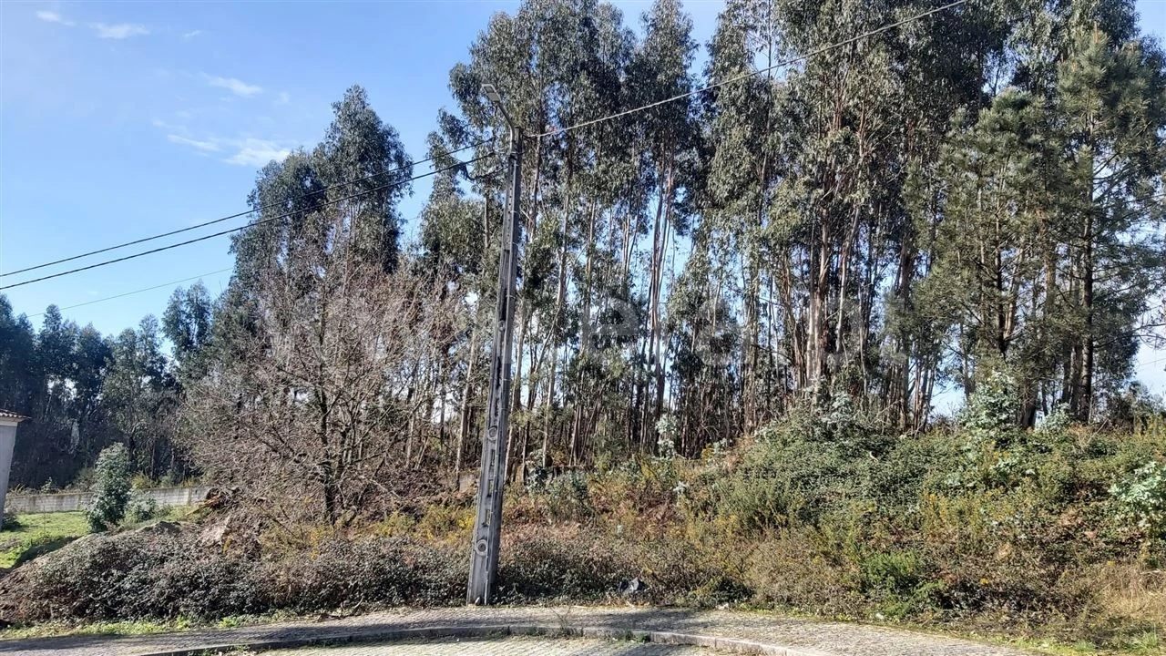 Moradia T3 para Venda em Rendufinho Foto 11