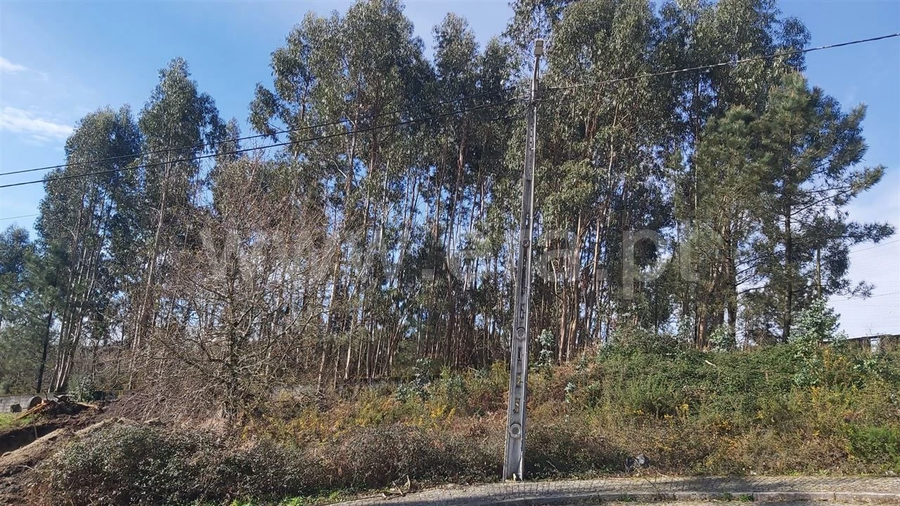 Moradia T3 para Venda em Rendufinho Foto 13