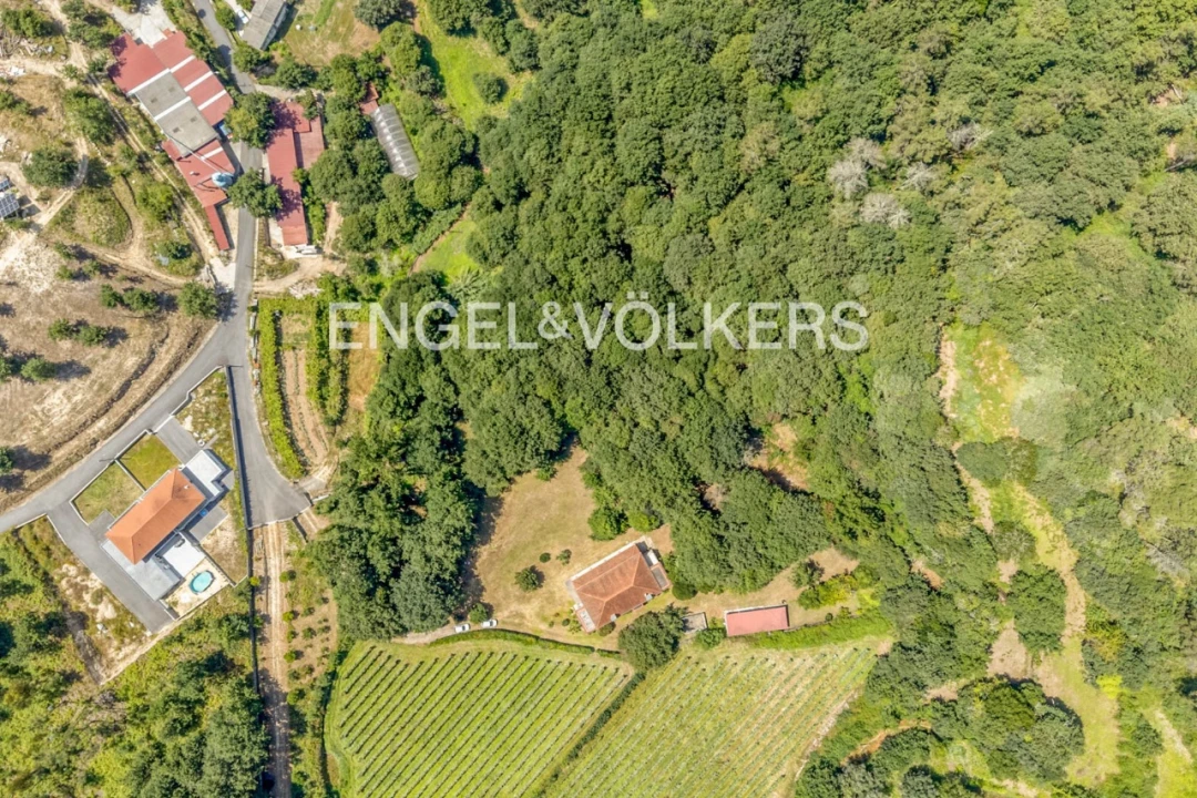 Moradia T4 para Venda em Barral Foto 32