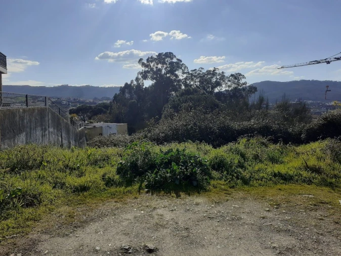 Terreno para Venda em Campo Foto 2