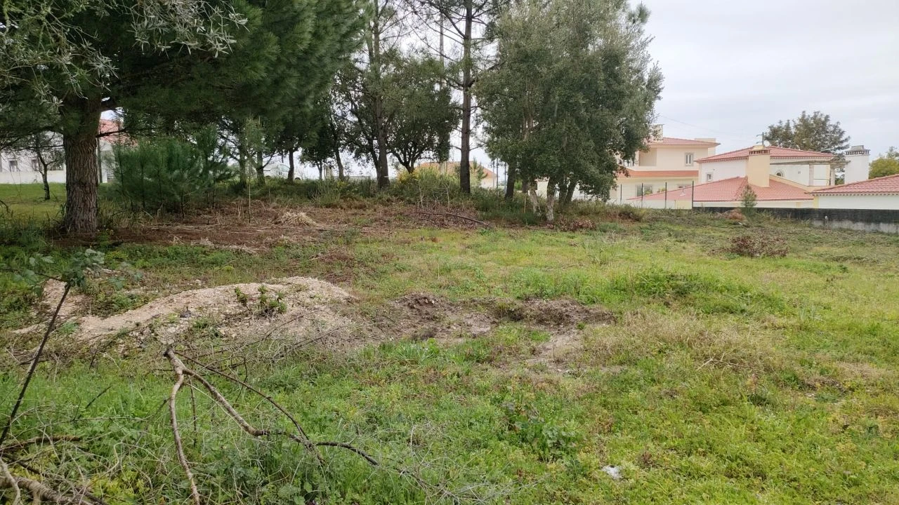 Terreno para Venda em Nadadouro Foto 7
