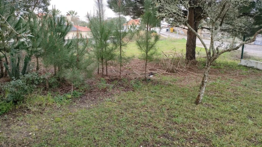 Terreno para Venda em Nadadouro Foto 10