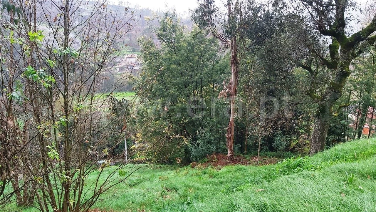 Terreno Misto para Venda em Ajude Foto 1