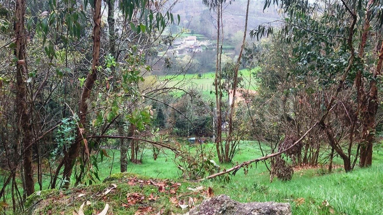 Terreno Misto para Venda em Ajude Foto 2