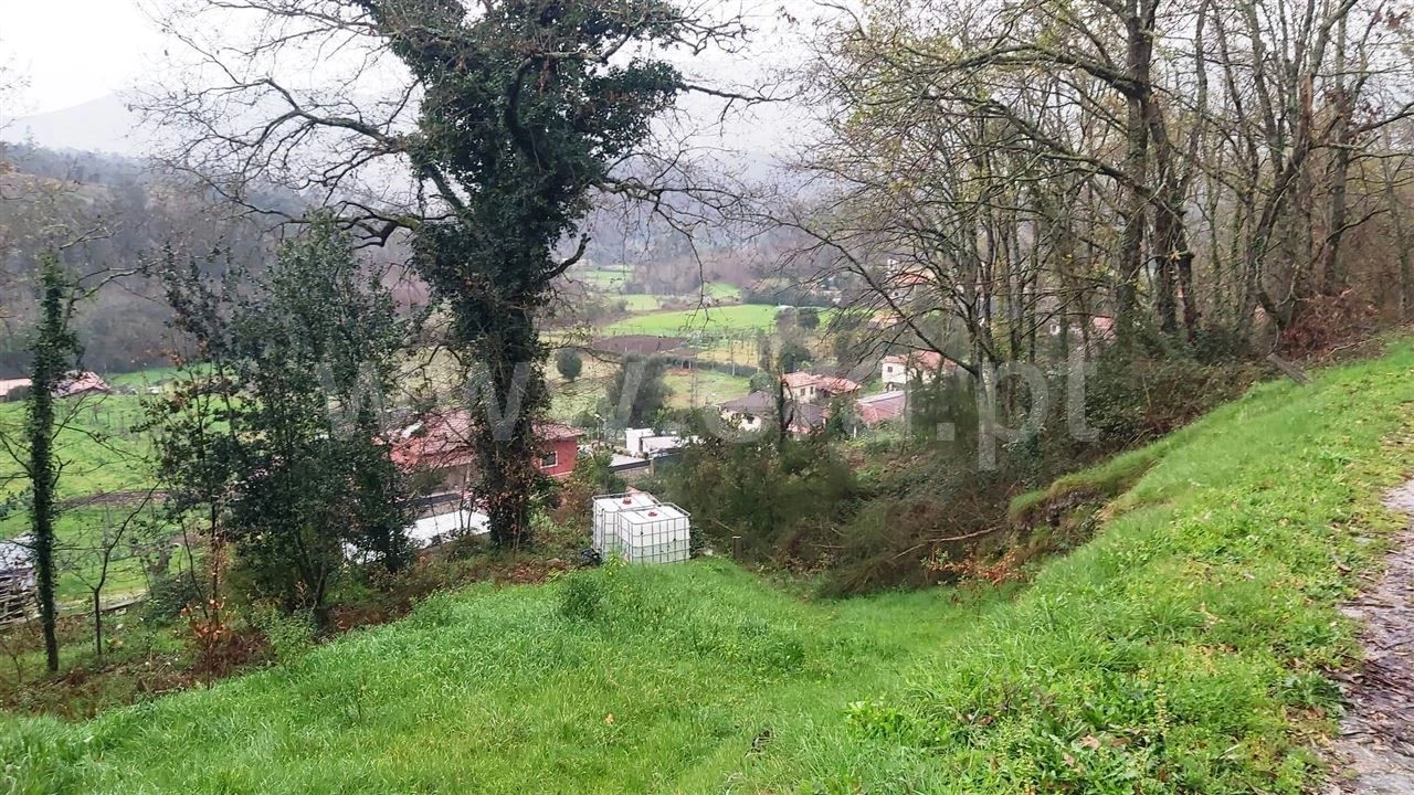 Terreno Misto para Venda em Ajude Foto 3