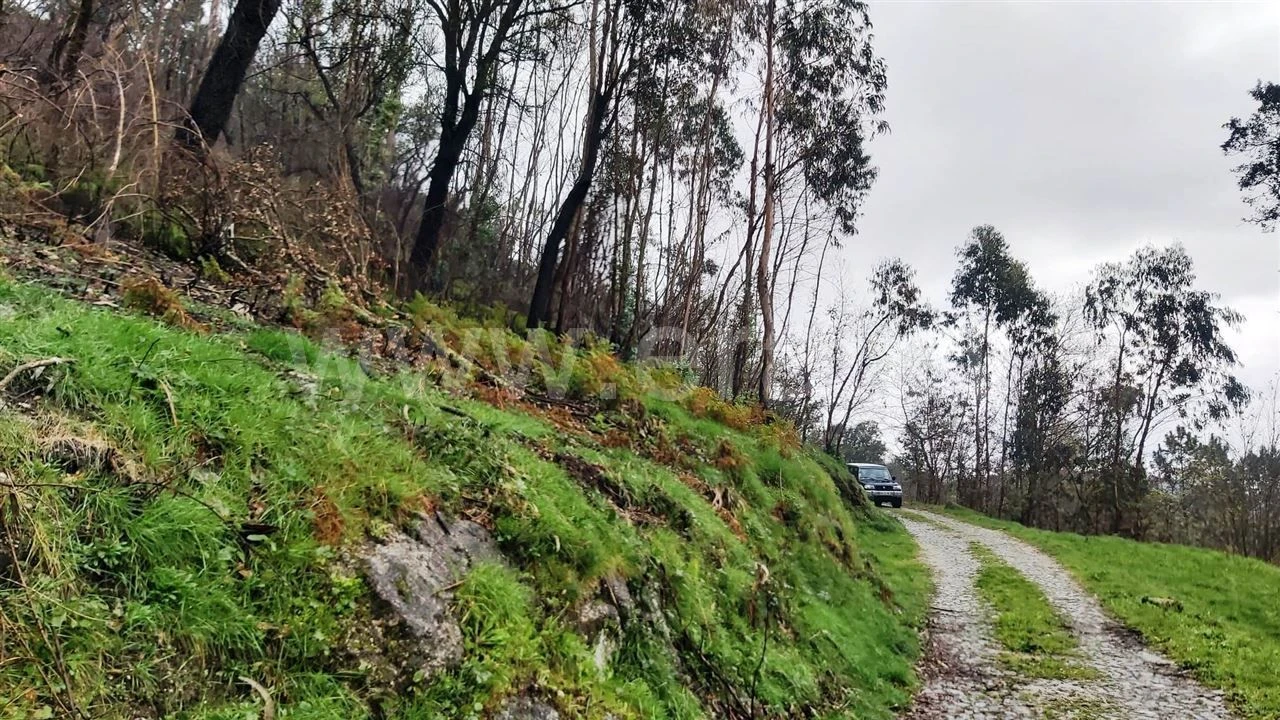 Terreno Misto para Venda em Ajude Foto 4