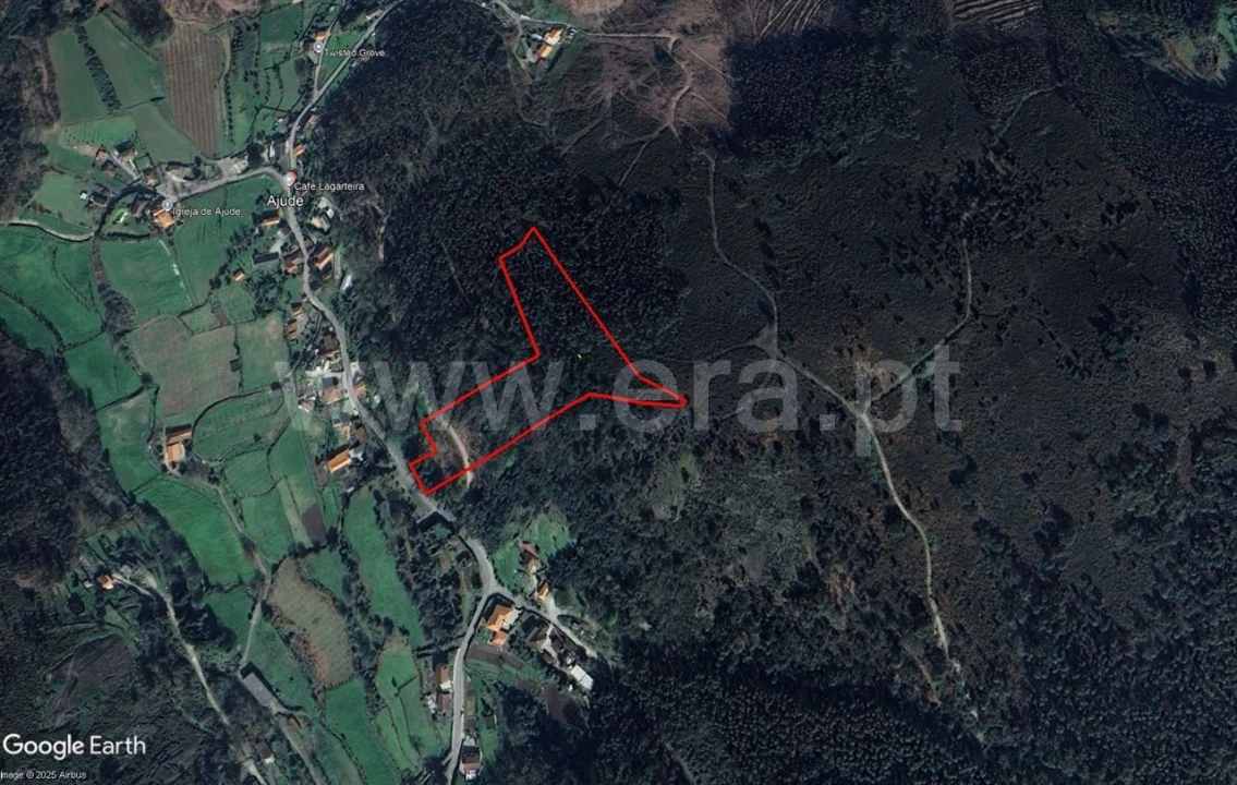 Terreno Misto para Venda em Ajude Foto 17