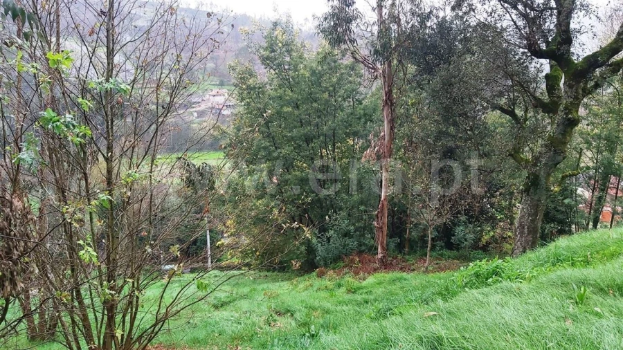 Terreno Misto para Venda em Ajude