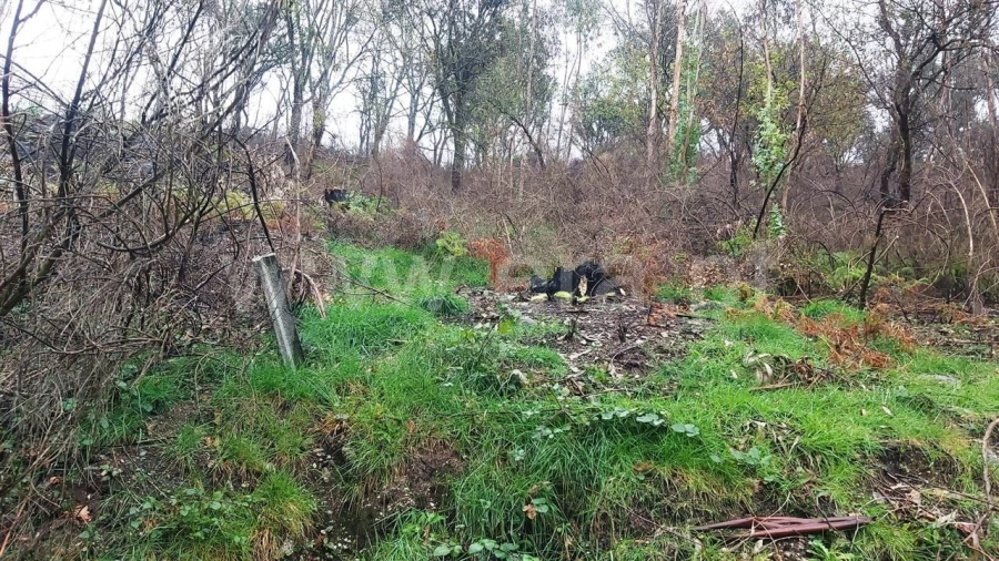 Terreno Misto para Venda em Ajude Foto 11