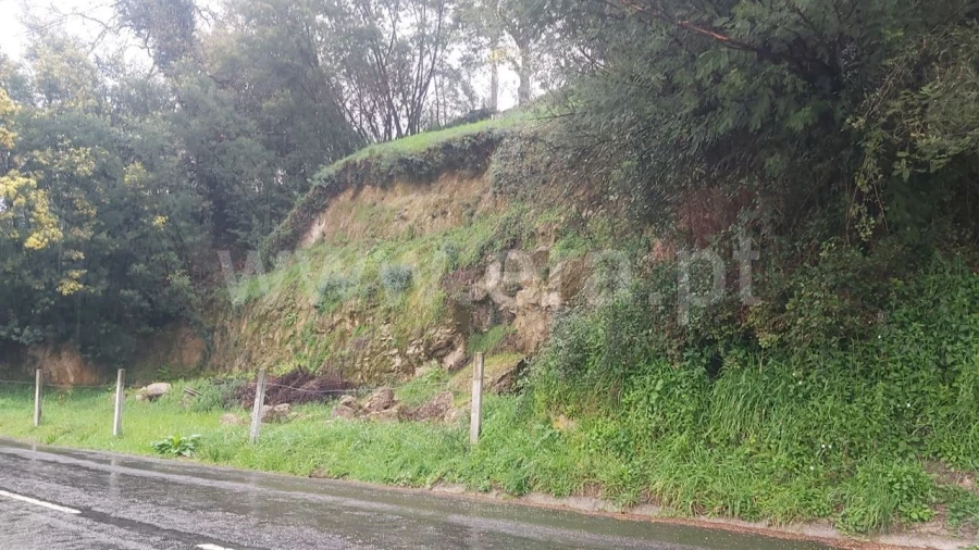 Terreno Misto para Venda em Ajude Foto 19