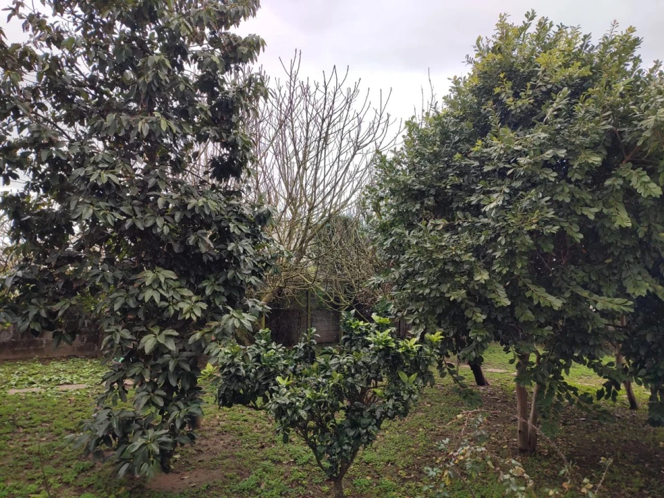 Moradia T9 para Venda em Vila Nova de Gaia Foto 14