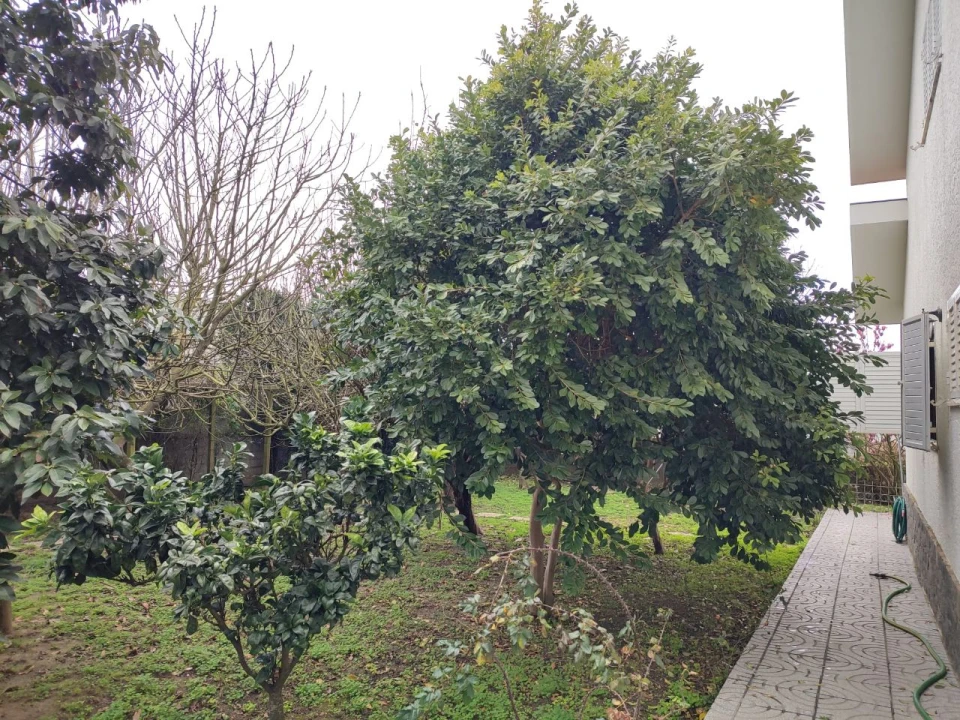 Moradia T9 para Venda em Vila Nova de Gaia Foto 15