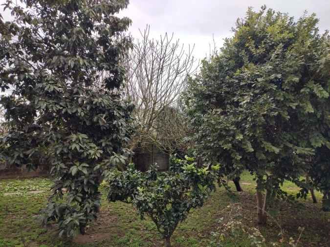 Moradia T9 para Venda em Vila Nova de Gaia Foto 14