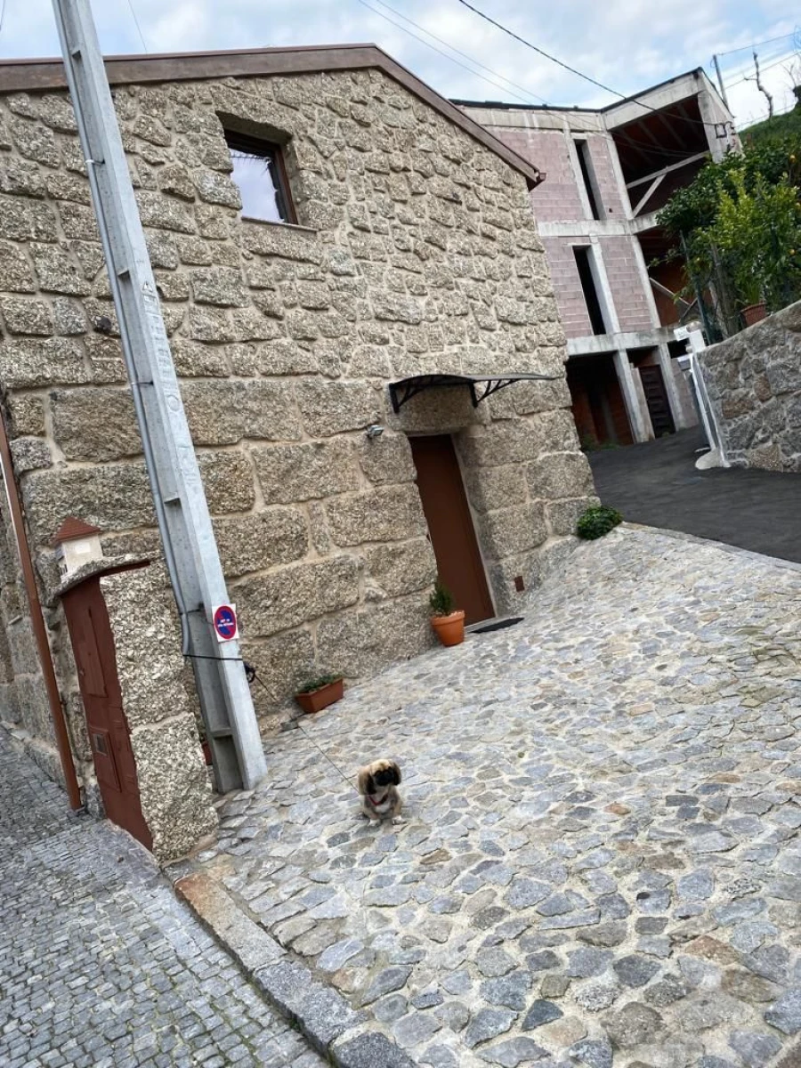 Moradia T2 para Arrendamento em Guimarães Foto 11