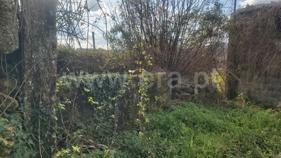 Quinta para Venda em Vilela Foto 14