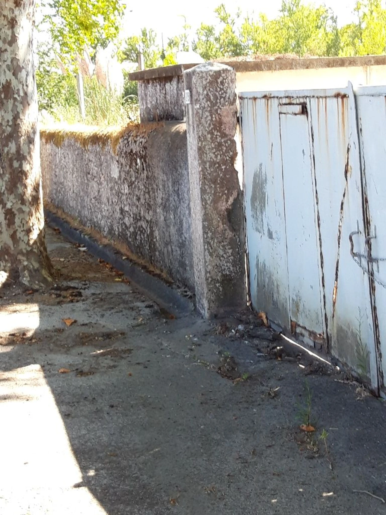 Terreno Misto para Venda em Pero Pinheiro Foto 10