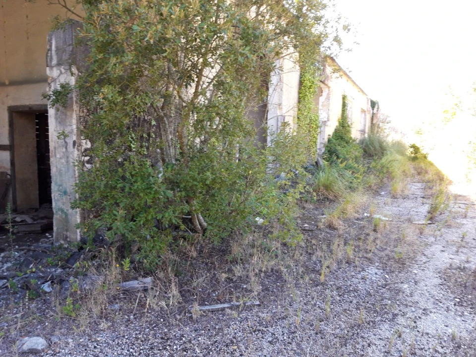 Terreno Misto para Venda em Pero Pinheiro Foto 25