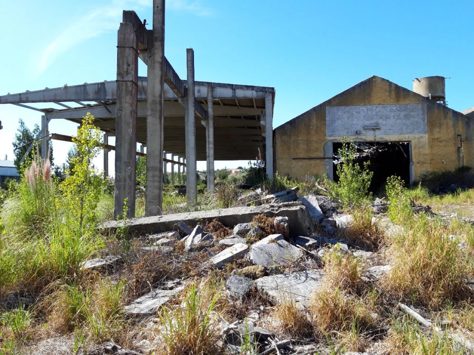 Terreno Misto para Venda em Pero Pinheiro Foto 34