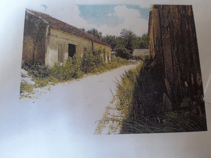 Terreno Misto para Venda em Pero Pinheiro Foto 13