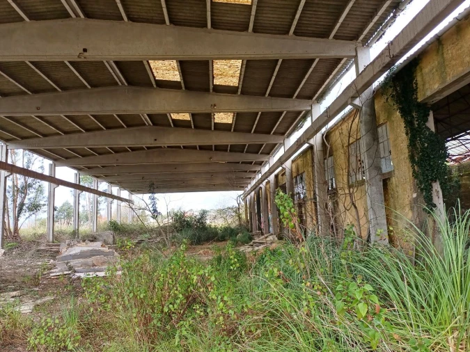 Terreno Misto para Venda em Pero Pinheiro Foto 15