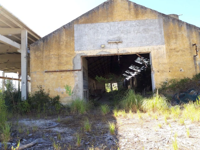 Terreno Misto para Venda em Pero Pinheiro Foto 24