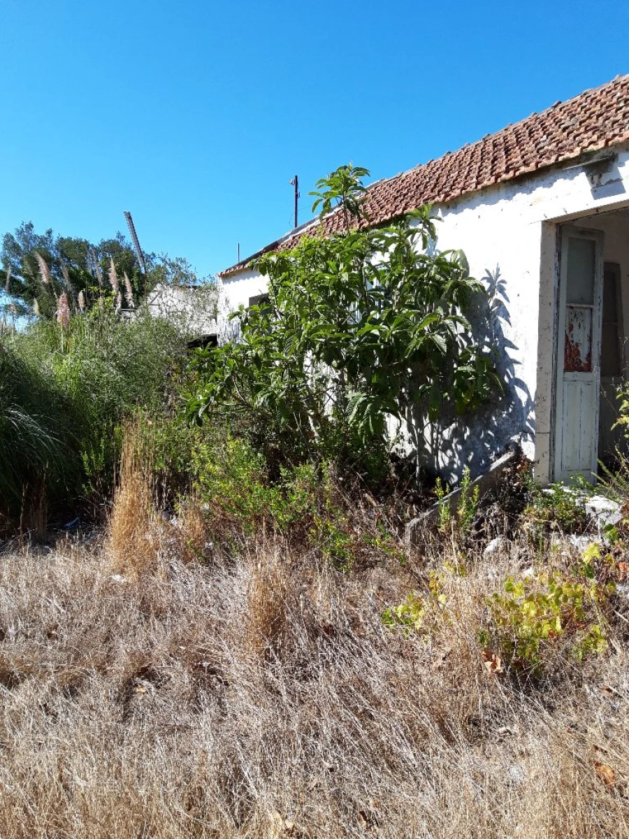 Terreno Misto para Venda em Pero Pinheiro Foto 28