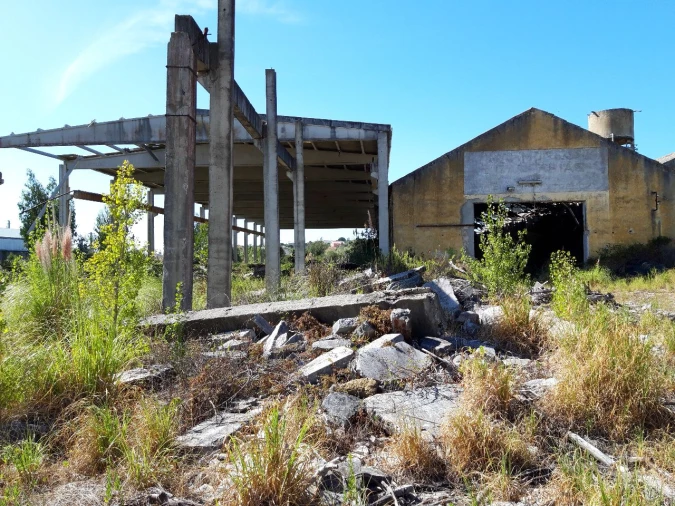 Terreno Misto para Venda em Pero Pinheiro Foto 34