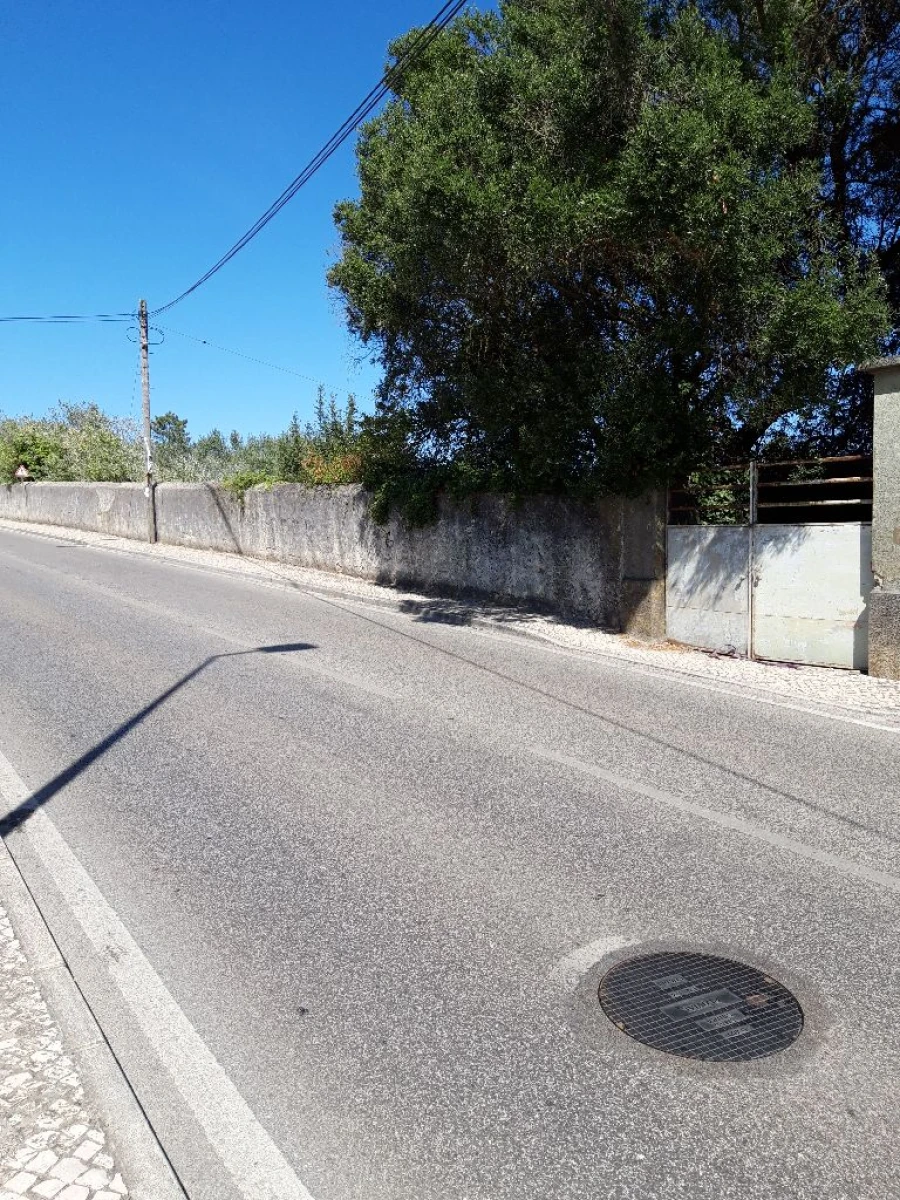 Terreno Misto para Venda em Pero Pinheiro Foto 37