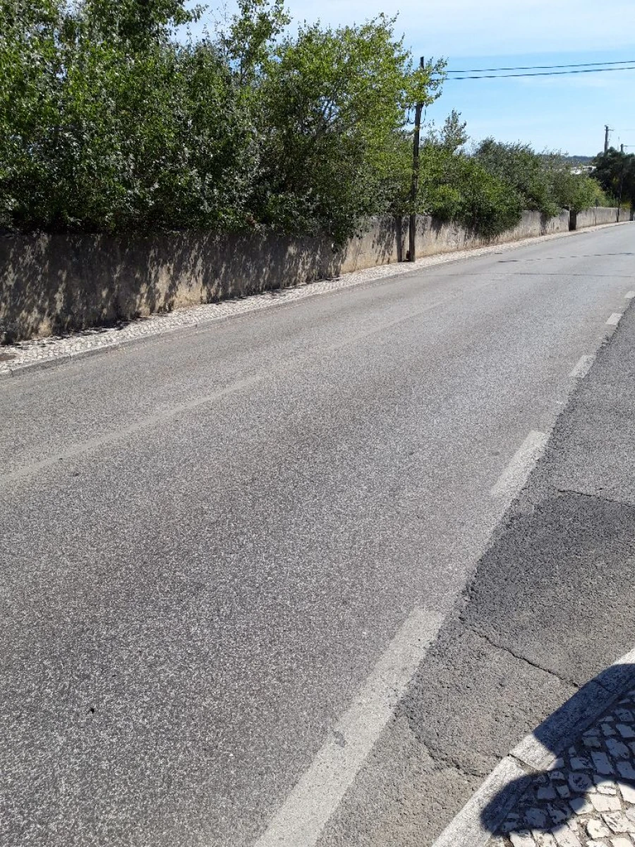 Terreno Misto para Venda em Pero Pinheiro Foto 39