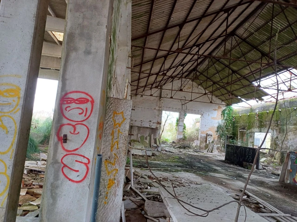 Prédio para Venda em Pero Pinheiro Foto 3