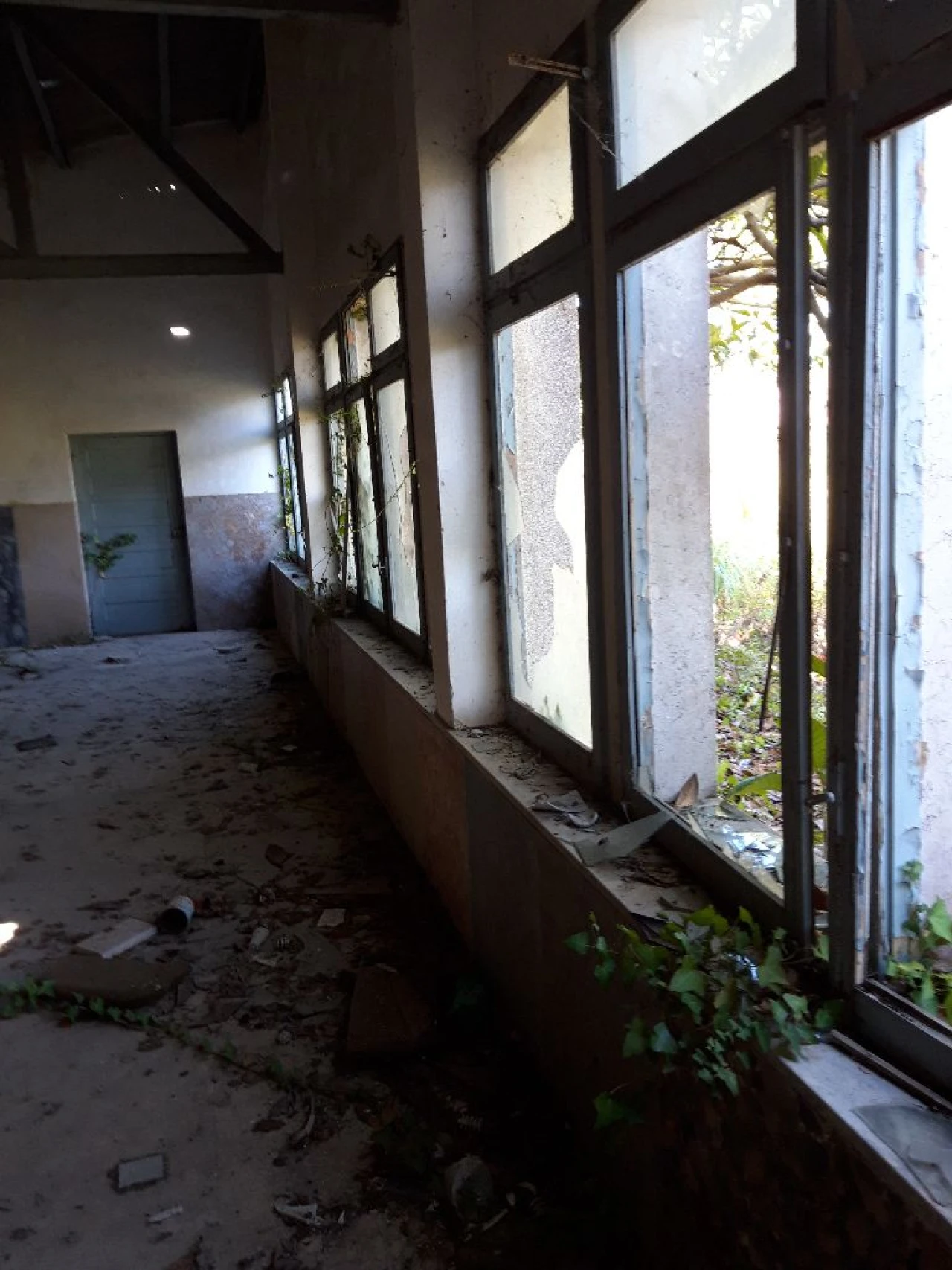 Prédio para Venda em Pero Pinheiro Foto 8