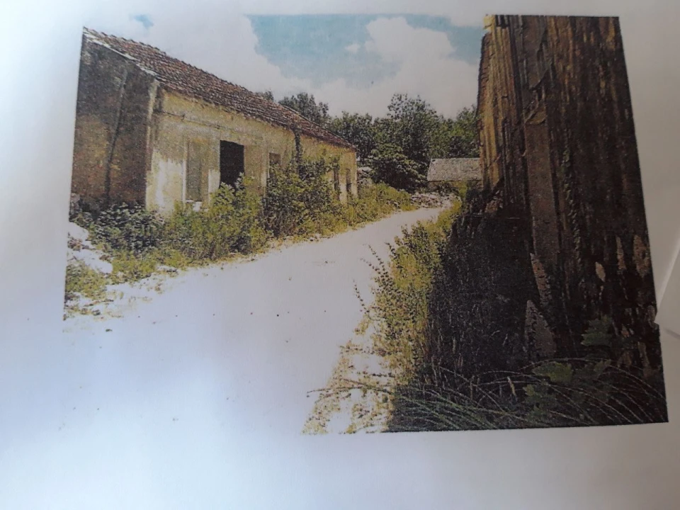 Prédio para Venda em Pero Pinheiro Foto 14