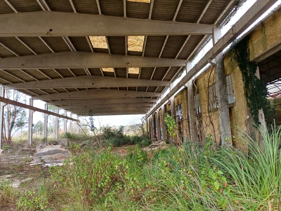 Prédio para Venda em Pero Pinheiro Foto 17