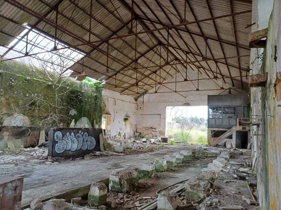 Prédio para Venda em Pero Pinheiro Foto 19