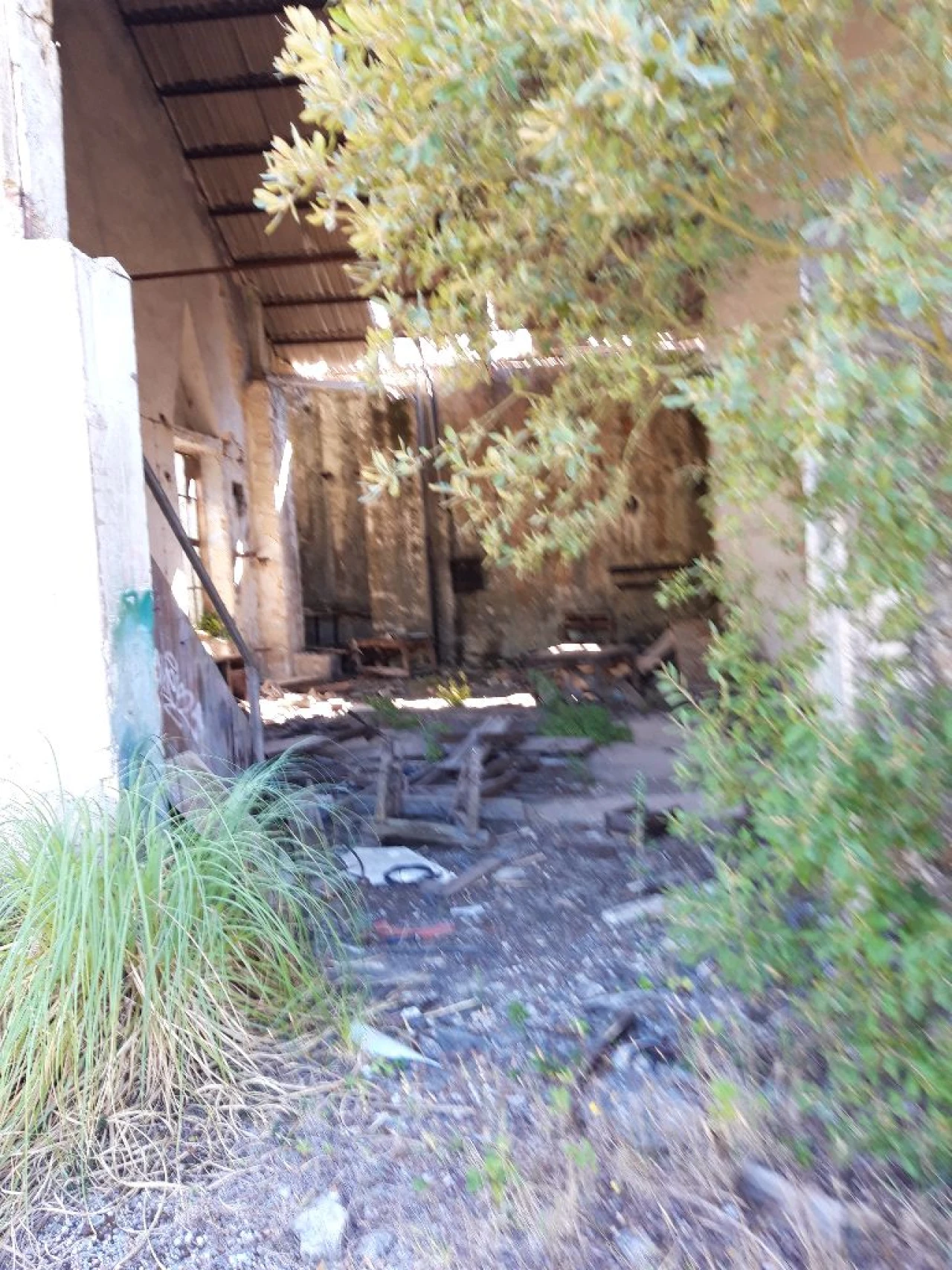 Prédio para Venda em Pero Pinheiro Foto 21