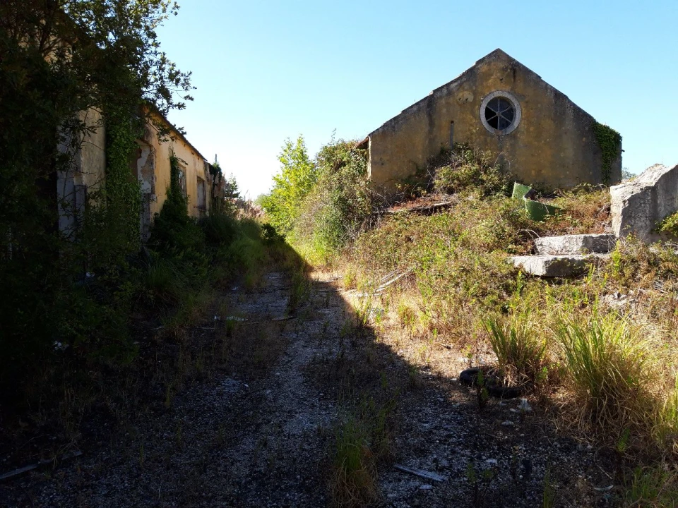 Prédio para Venda em Pero Pinheiro Foto 26
