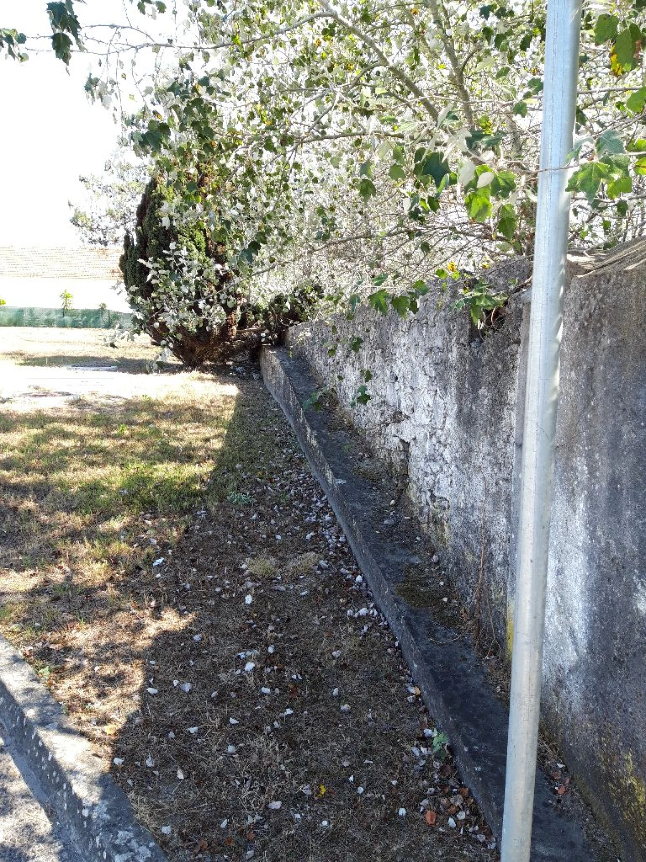 Prédio para Venda em Pero Pinheiro Foto 28