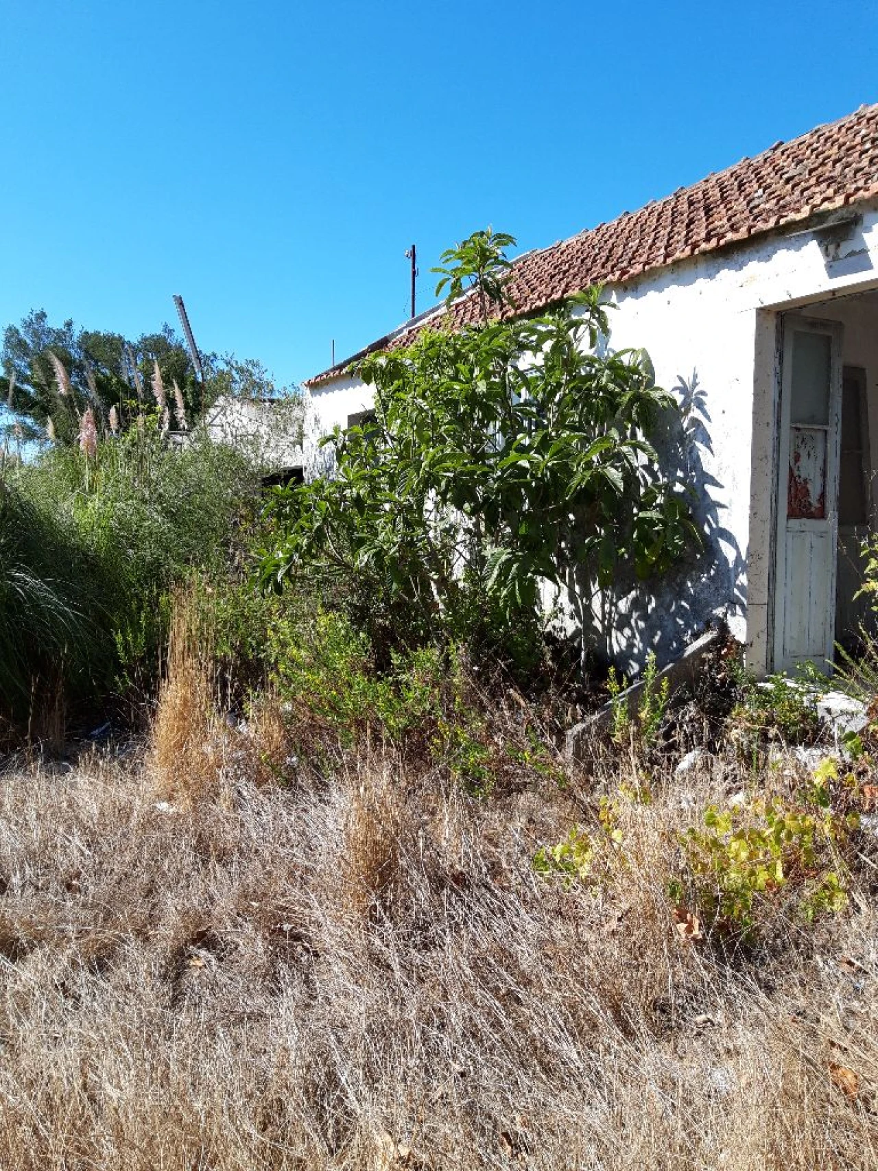 Prédio para Venda em Pero Pinheiro Foto 35