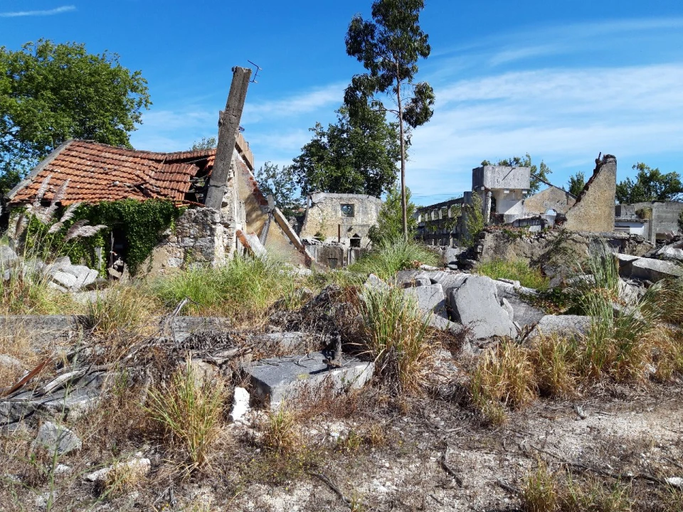 Prédio para Venda em Pero Pinheiro Foto 38