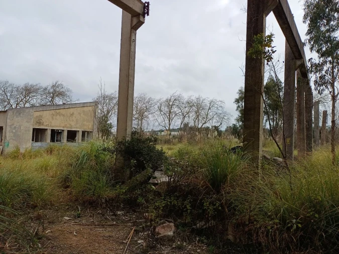 Prédio para Venda em Pero Pinheiro Foto 18