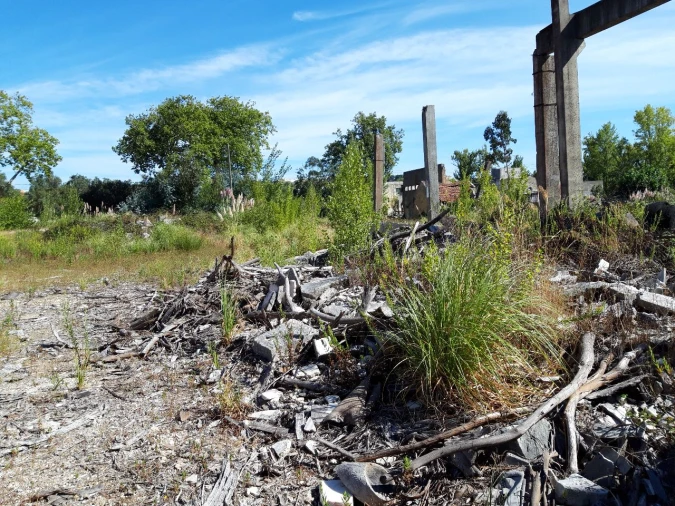 Prédio para Venda em Pero Pinheiro Foto 30