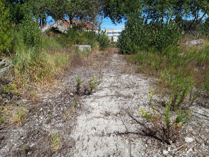 Prédio para Venda em Pero Pinheiro Foto 40