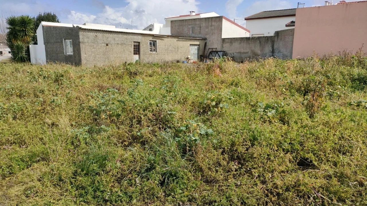 Terreno para Venda em Casais Brancos Foto 6