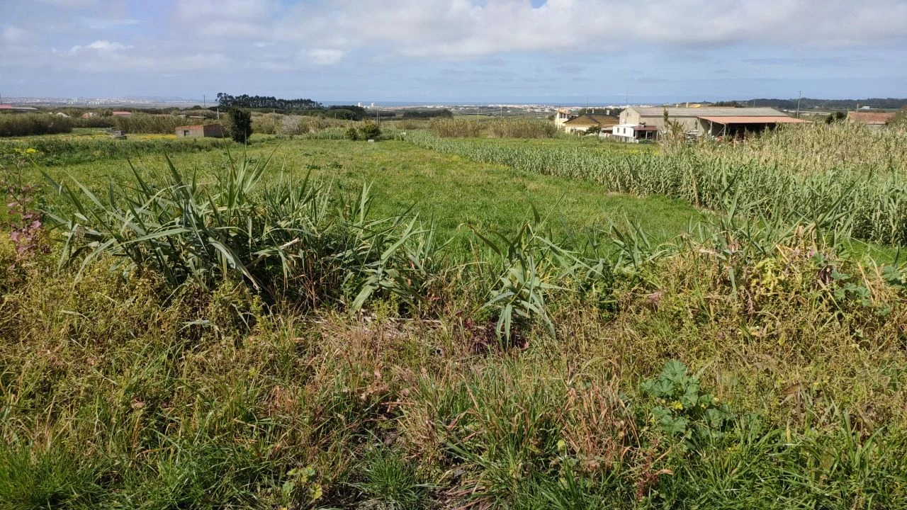 Terreno para Venda em Atouguia da Baleia Foto 11