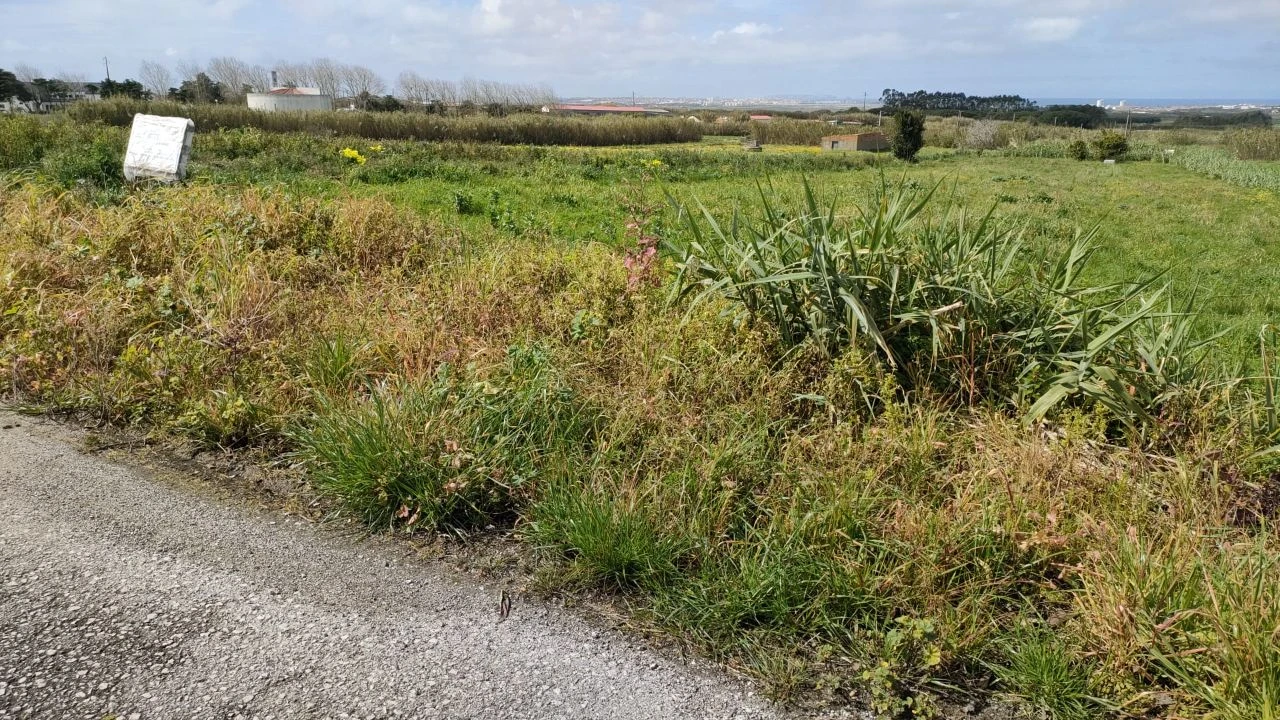 Terreno para Venda em Atouguia da Baleia Foto 3