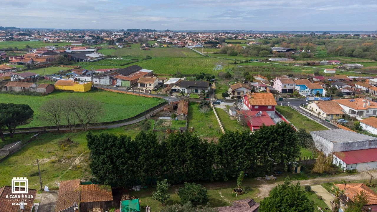 Terreno P/ Prédio para Venda em Pardilhó Foto 20