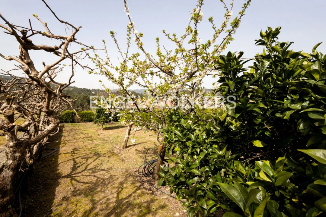 Moradia T5 para Venda em Celorico de Basto Foto 34