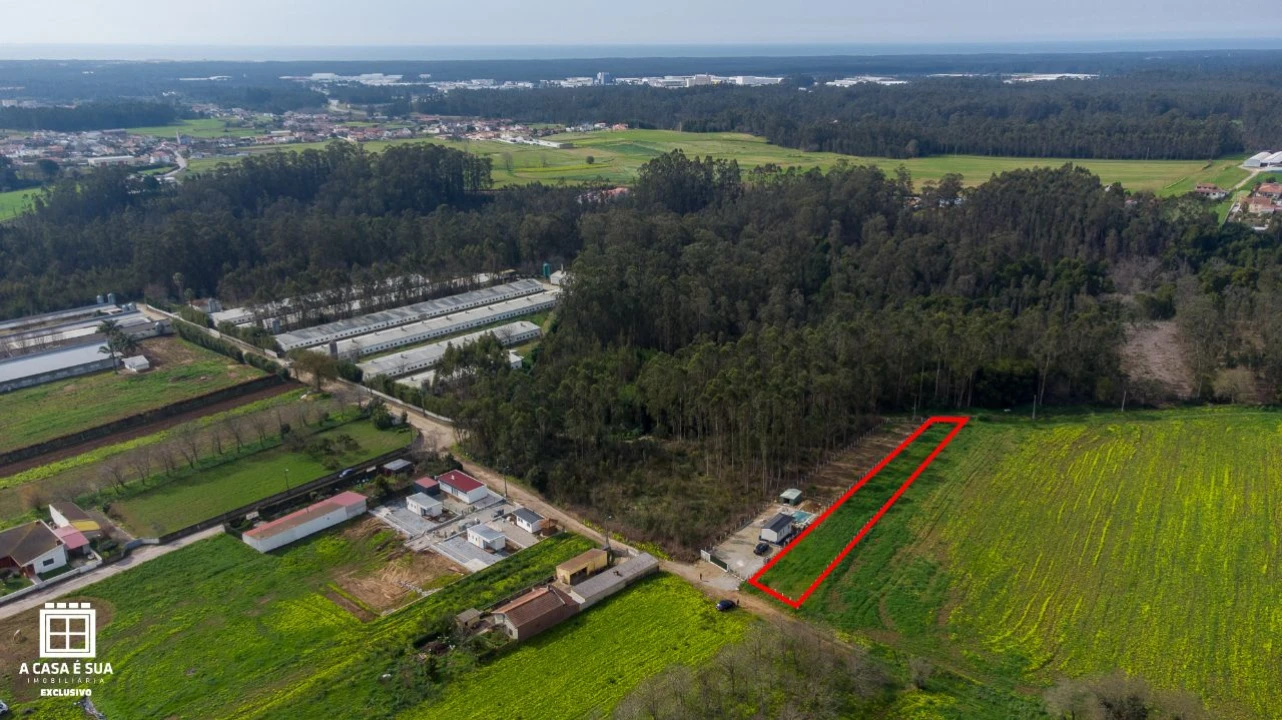 Terreno para Venda em Salgueiral de Cima Foto 5