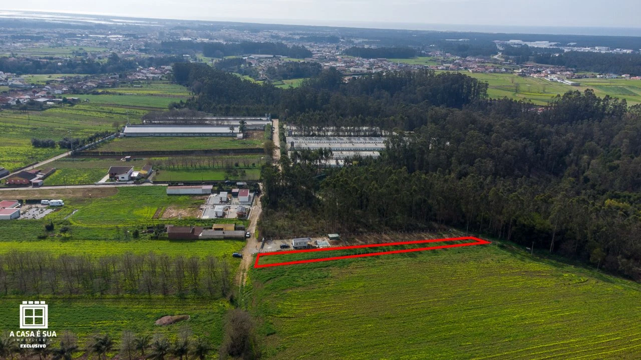 Terreno para Venda em Salgueiral de Cima Foto 6